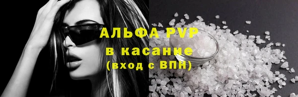 стафф Каменногорск