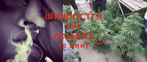 СК Каменка