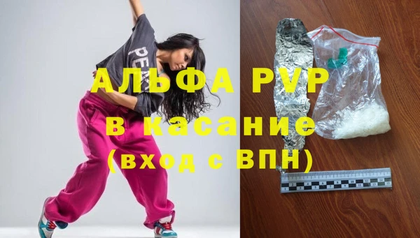 стафф Каменногорск