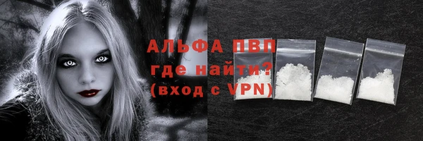 стафф Каменногорск